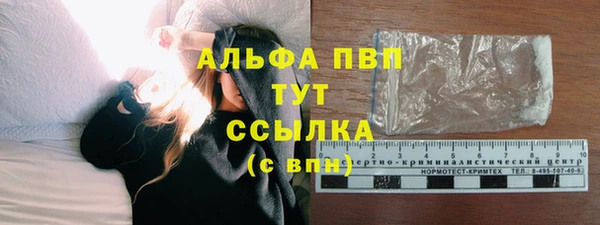 сатива Арсеньев