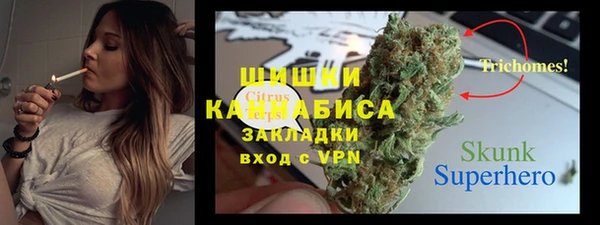 сатива Арсеньев