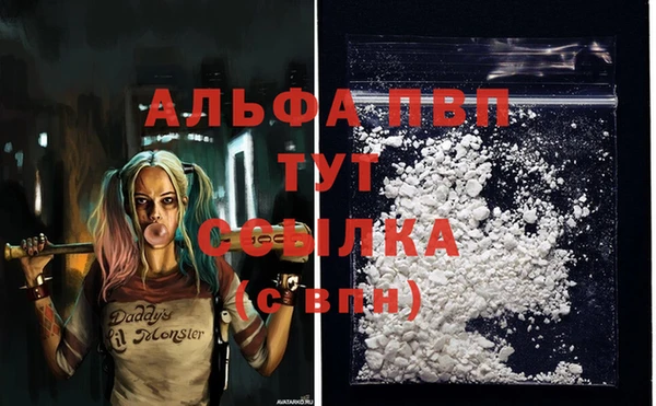 стаф Армянск