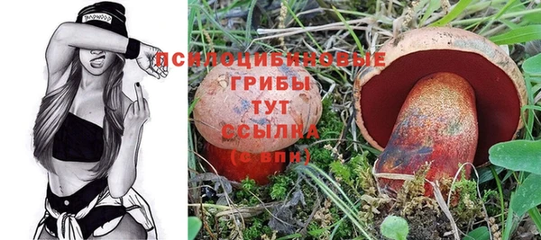 сатива Арсеньев