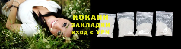 сатива Арсеньев
