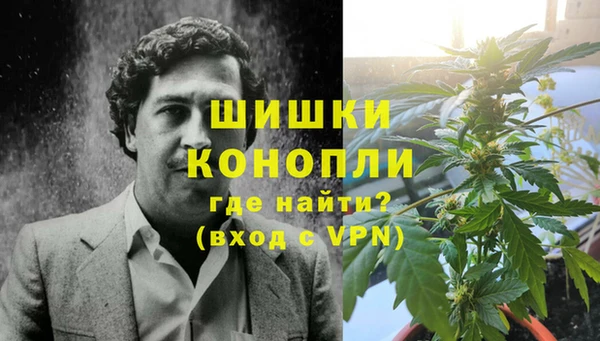 сатива Арсеньев