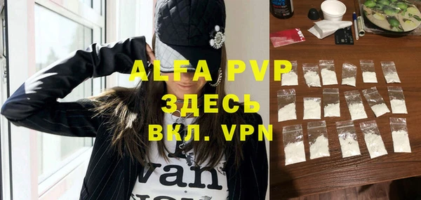 сатива Арсеньев