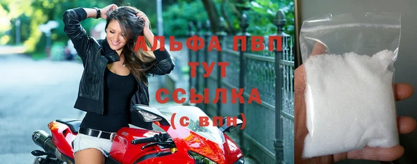 сатива Арсеньев